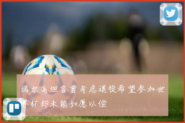 诺尔高坦言曾考虑退役希望参加世界杯却未能如愿以偿